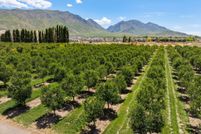 Farm and Ranch for sale in Utah County, Utah
