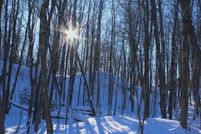 Land for sale in Iron County, Wisconsin
