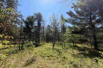 Land for sale in Lake County, Michigan