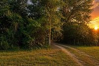 Land for sale in Gulf County, Florida