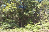 Land for sale in Fulton County, Arkansas