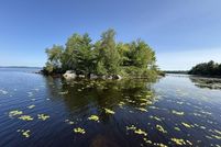 Farm and Ranch for sale in Washington County, Maine
