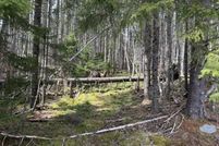 Land for sale in Washington County, Maine