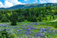 Land for sale in Franklin County, Maine