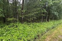 Land for sale in Jackson County, Wisconsin