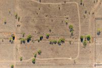 Land for sale in Randall County, Texas
