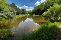 Timberland Property for sale in Grayson County, Virginia