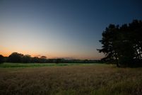 Land for sale in Upshur County, Texas