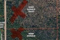 Land for sale in Lake County, Michigan