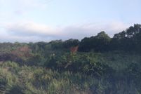 Land for sale in Yell County, Arkansas