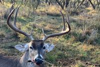 Undeveloped Land for sale in Fisher County, Texas