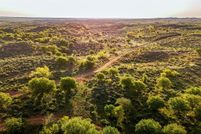 Undeveloped Land for sale in Hall County, Texas