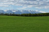 Undeveloped Land for sale in Southeast Fairbanks Borough, Alaska