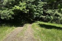 Undeveloped Land for sale in Lane County, Oregon