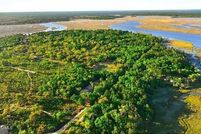 Undeveloped Land for sale in McIntosh County, Georgia