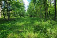 Undeveloped Land for sale in Langlade County, Wisconsin