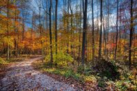 Land for sale in Fentress County, Tennessee