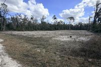 Land for sale in Dixie County, Florida