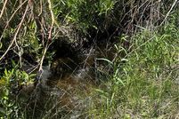 Timberland Property for sale in Esmeralda County, Nevada