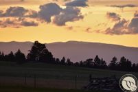 Timberland Property for sale in Musselshell County, Montana