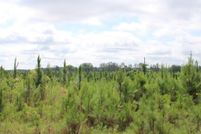 Land for sale in Clay County, Georgia