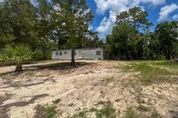 Undeveloped Land for sale in Taylor County, Florida