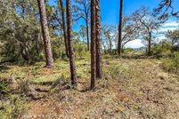 Land for sale in Franklin County, Florida