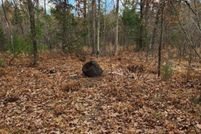 Land for sale in Marinette County, Wisconsin