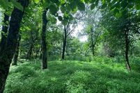 Land for sale in Grayson County, Virginia