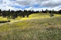 Undeveloped Land for sale in Crook County, Wyoming