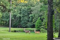 Commercial Property for sale in Wood County, Texas