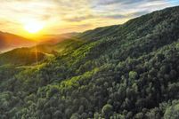 Land for sale in Bland County, Virginia