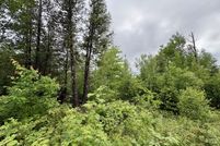 Timberland Property for sale in Penobscot County, Maine