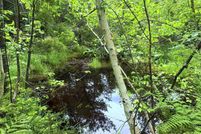 Land for sale in Marquette County, Michigan