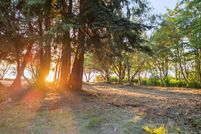Timberland Property for sale in Jefferson County, Washington