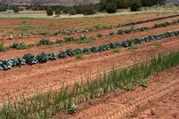 Farm and Ranch for sale in Washington County, Utah