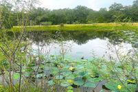Land for sale in Lavaca County, Texas