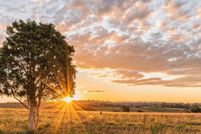 Homesite for sale in Colorado County, Texas