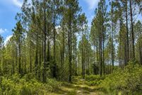 Land for sale in Columbia County, Florida