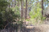 Land for sale in Polk County, Texas