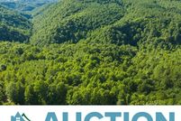 Timberland Property for sale in Floyd County, Virginia