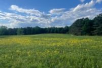 Land for sale in Marion County, Alabama