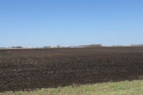 Undeveloped Land for sale in Renville County, Minnesota