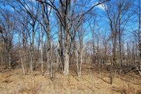 Undeveloped Land for sale in Otter Tail County, Minnesota