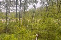 Land for sale in Morrison County, Minnesota