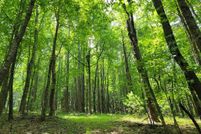 Land for sale in Grayson County, Virginia