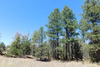 Farm and Ranch for sale in Navajo County, Arizona