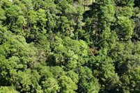 Land for sale in Polk County, Texas