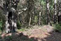 Timberland Property for sale in Thomas County, Georgia