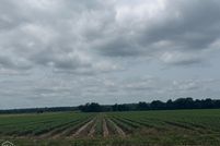 Farm and Ranch for sale in Poinsett County, Arkansas